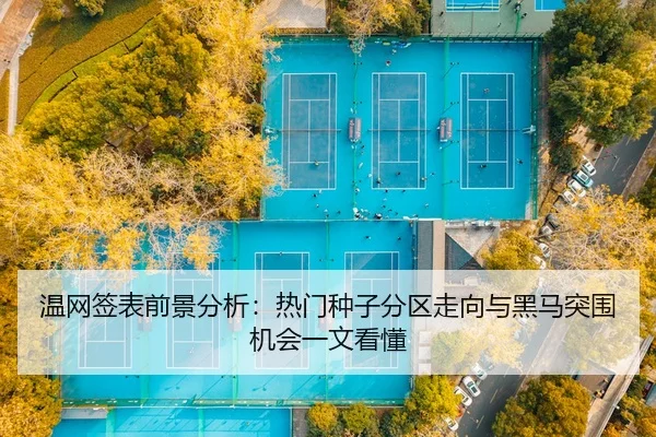 温网签表前景分析：热门种子分区走向与黑马突围机会一文看懂
